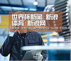 研发能力标题四