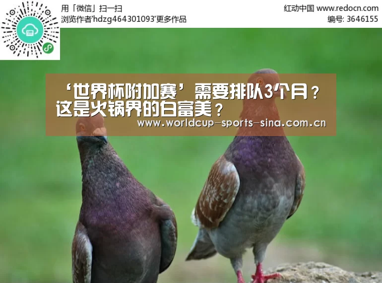 世界杯附加赛