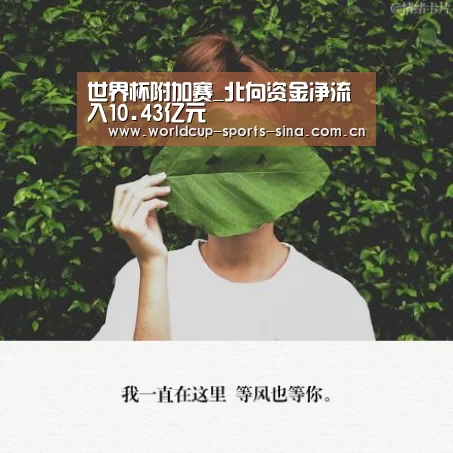 世界杯赛组