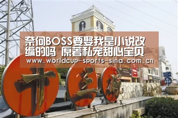 奈何BOSS要娶我是小说改编的吗 原著私宠甜心宝贝哪里看‘世