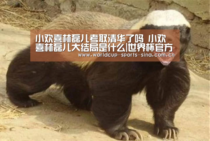 小欢喜林磊儿考取清华了吗 小欢喜林磊儿大结局是什么|世界杯官