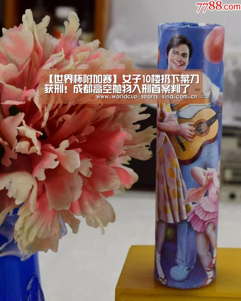 【世界杯附加赛】女子10楼扔下菜刀获刑!成都高空抛物入刑首案判了(图3) 世界杯赛组